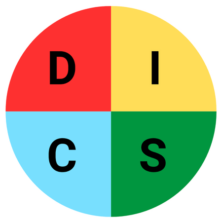 disc profile coaching